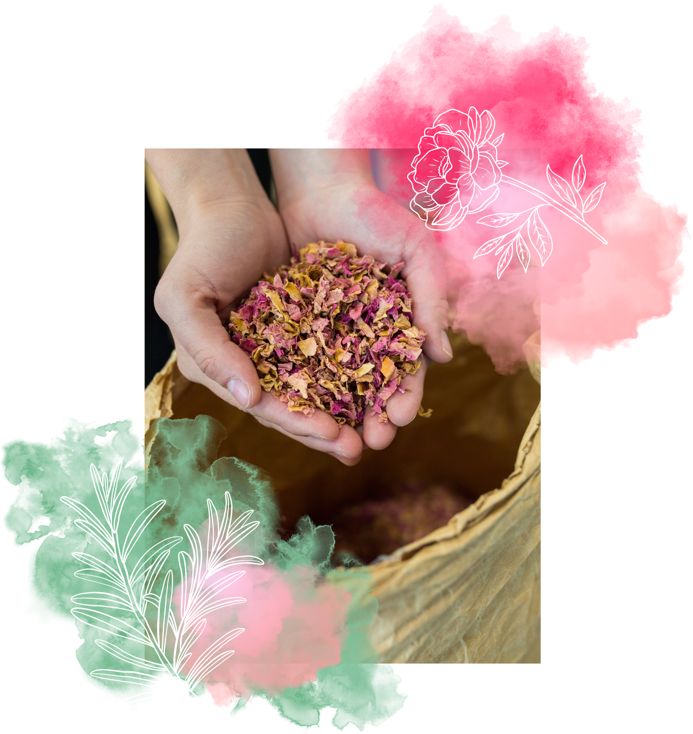 fotky+grafika_blog (7)